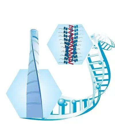 仿生智能材料新突破：源自上海中心的纳米螺旋分子问世(图1)