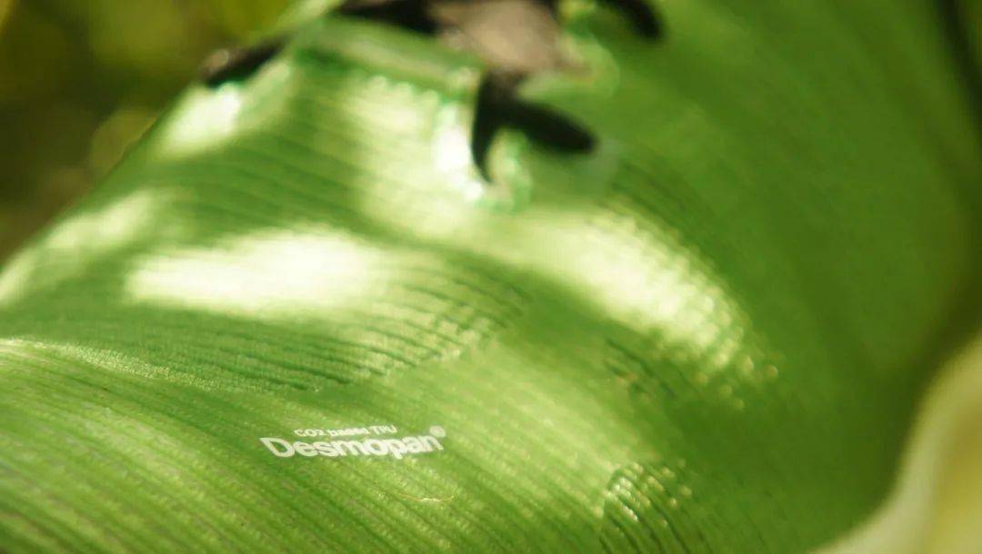 科思创：推出部分生物基TPU材料，以Desmopan® EC的名称销售(图1)