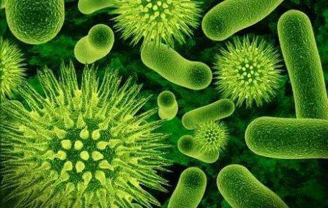生物塑料?生物基塑料?生物降解塑料?别懵圈,来这里!(图2) 生物塑料?生物基塑料?生物降解塑料?别懵圈,来这里!(图2)