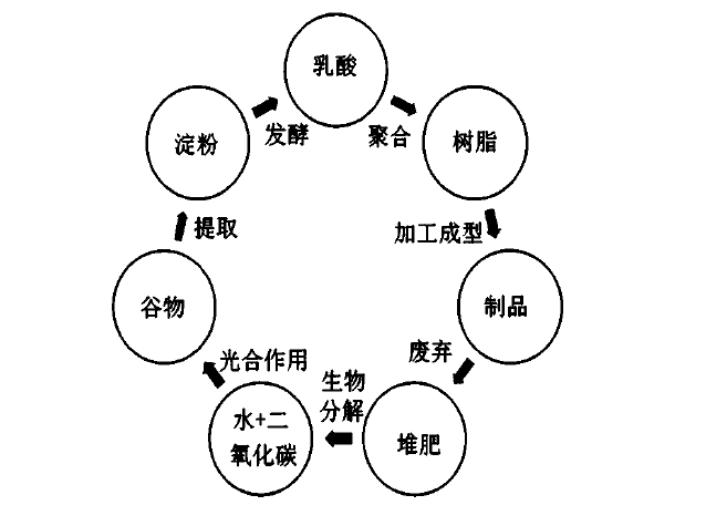 生物塑料?生物基塑料?生物降解塑料?别懵圈,来这里!(图10) 生物塑料?生物基塑料?生物降解塑料?别懵圈,来这里!(图10)