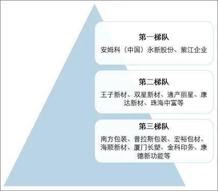 中国塑料包装行业竞争格局分析！开发与推广可降解塑料是当务之急(图6)