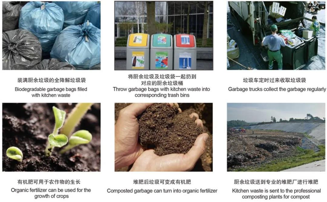 最新!国内外可堆肥降解塑料评价标准!(图2) 1598579646217248.jpg