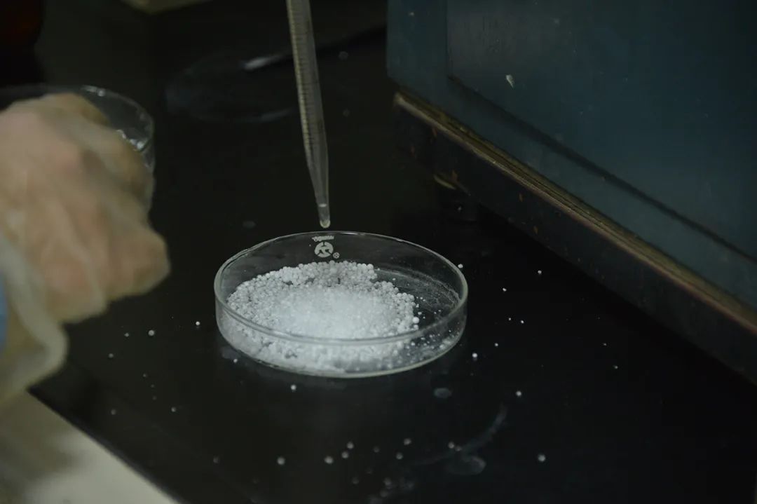 NB，石家庄炼化成功产出熔指400聚丙烯熔喷基料(图11)